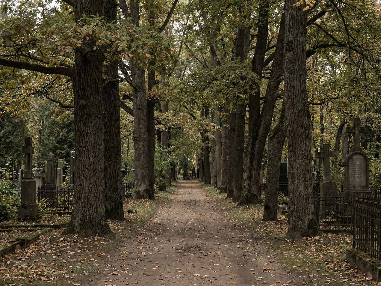 Выбор места захоронения на кладбище в Риге