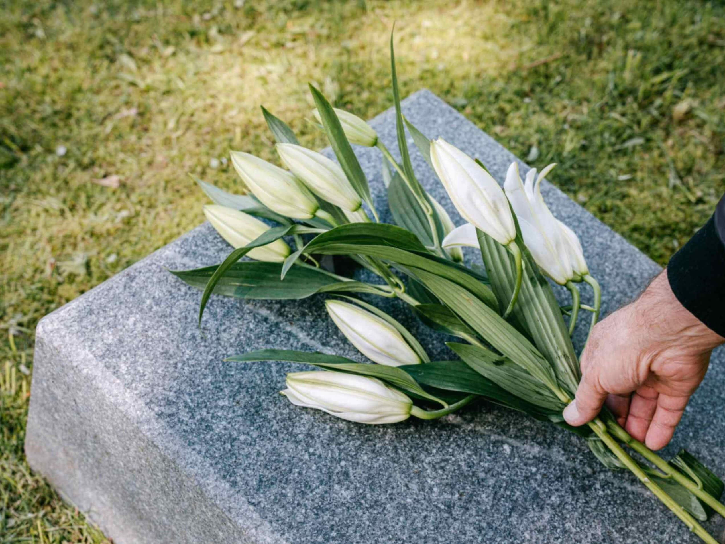 Похоронное бюро Angel AB предлагает широкий выбор траурных цветов для похорон и кремации